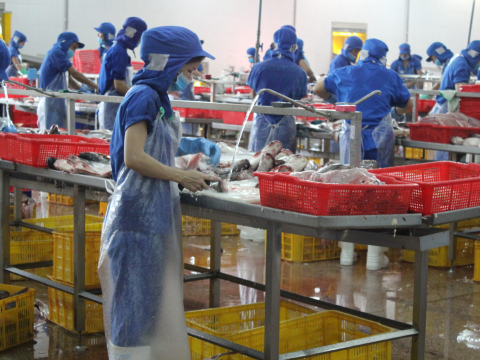 Arbeiter*innen in einer Fischfabrik im Süden Vietnams © Marina Kamberovic, 2018