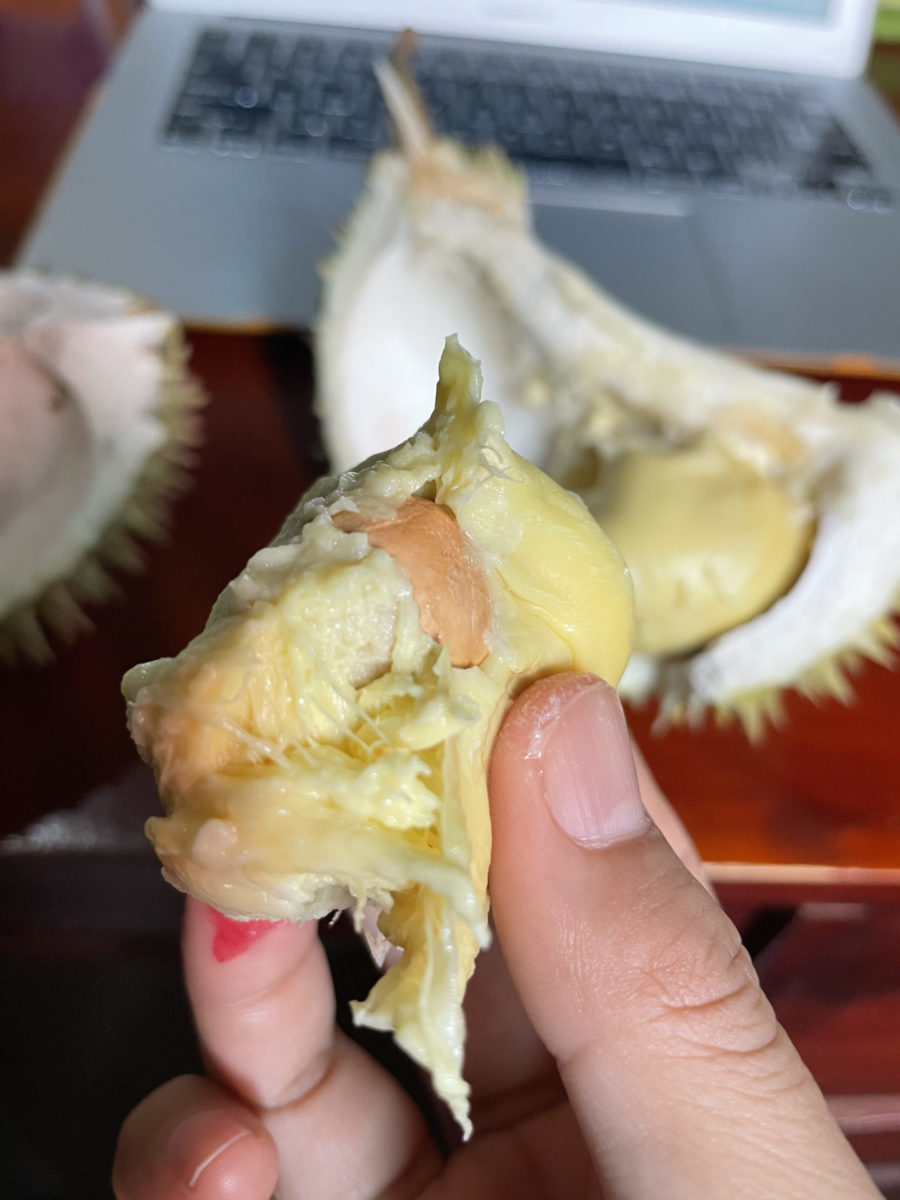 Durian und die Kolonialität der Macht (Teil I)