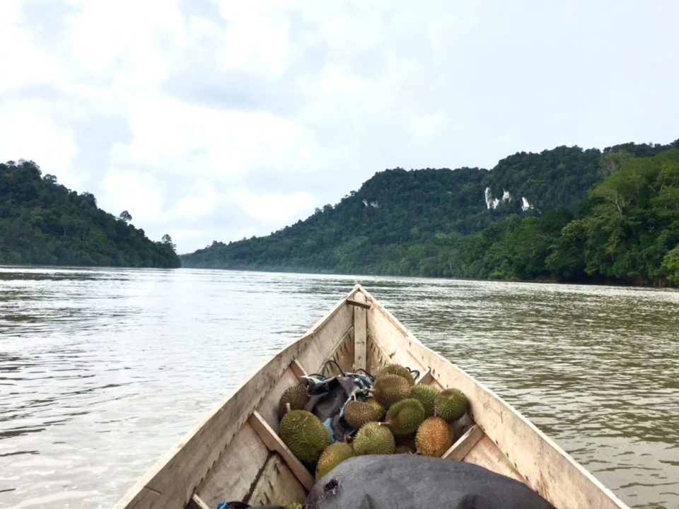 Durian und die Kolonialität der Macht (Teil I)